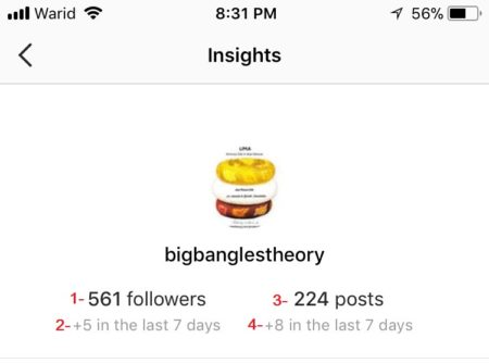 instagram-analytics-1