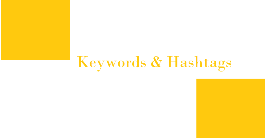 Keywords and hashtags