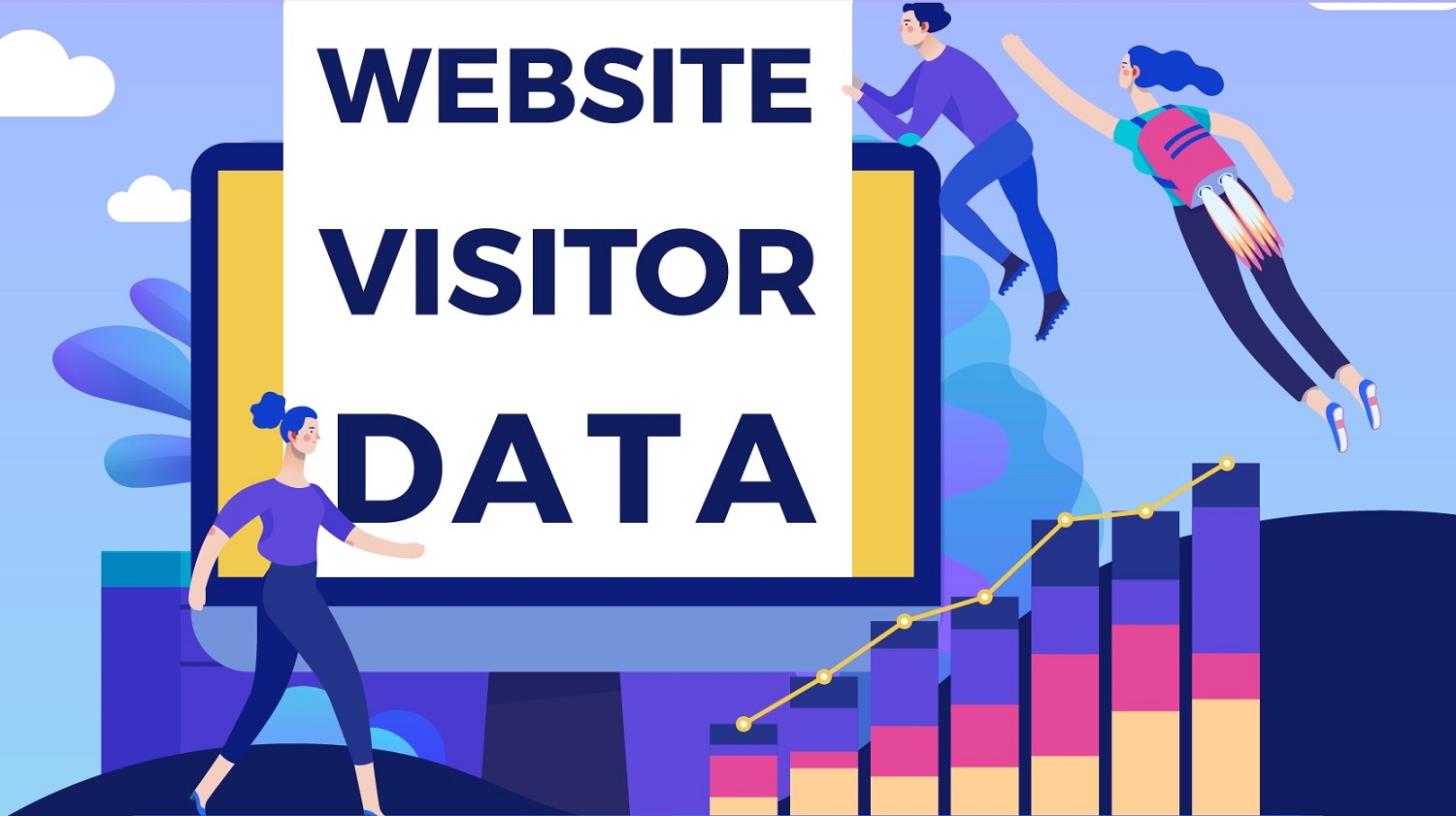 website visitor data