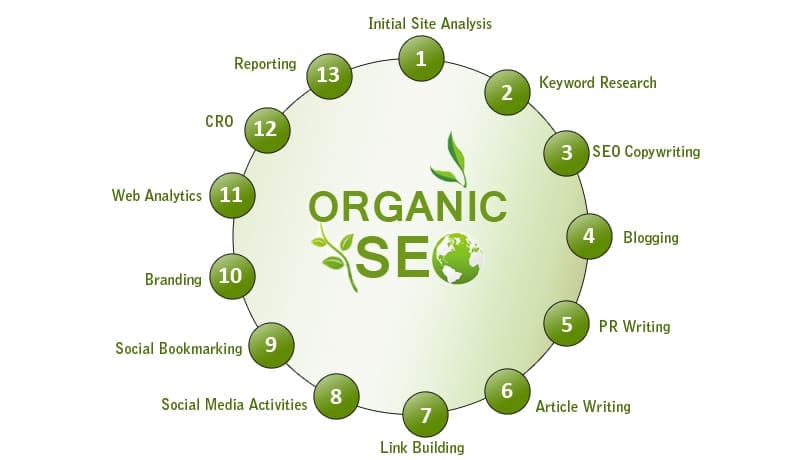 Organic search engine optimization | 7 strategies to improve rankings