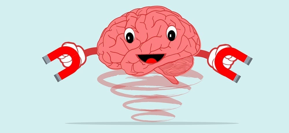 Write Content Following User Intent